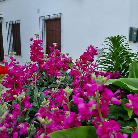 Casa Francisca En El Casco Antiguo Βίλα Vejer de la Frontera Εξωτερικό φωτογραφία