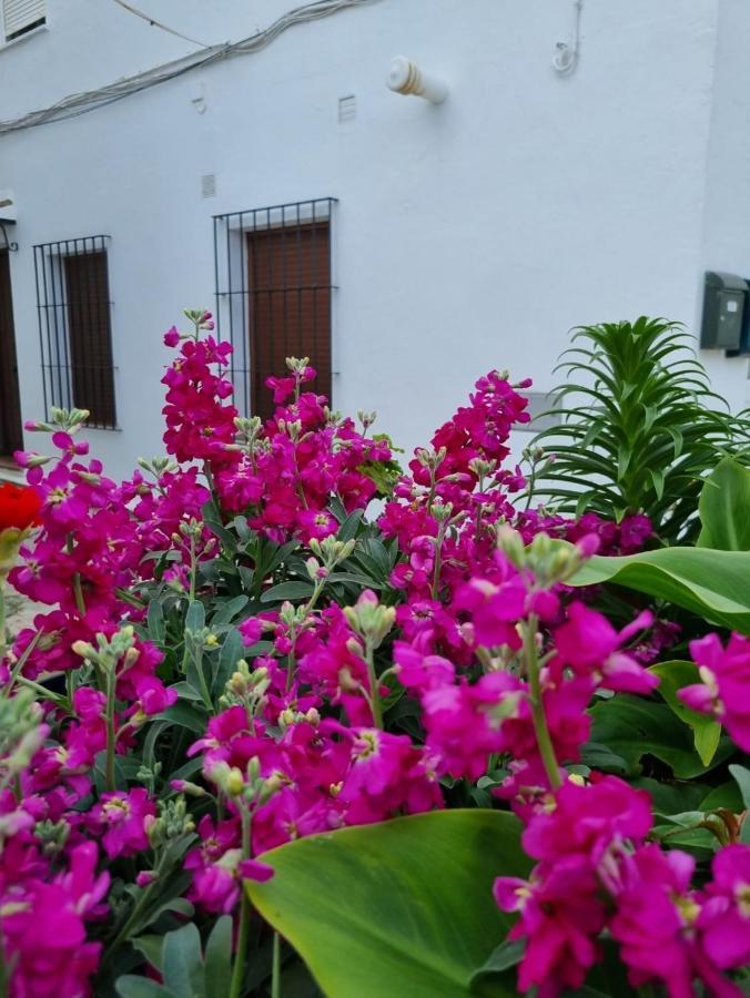 Casa Francisca En El Casco Antiguo Βίλα Vejer de la Frontera Εξωτερικό φωτογραφία