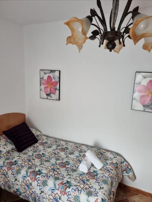 Casa Francisca En El Casco Antiguo Βίλα Vejer de la Frontera Εξωτερικό φωτογραφία